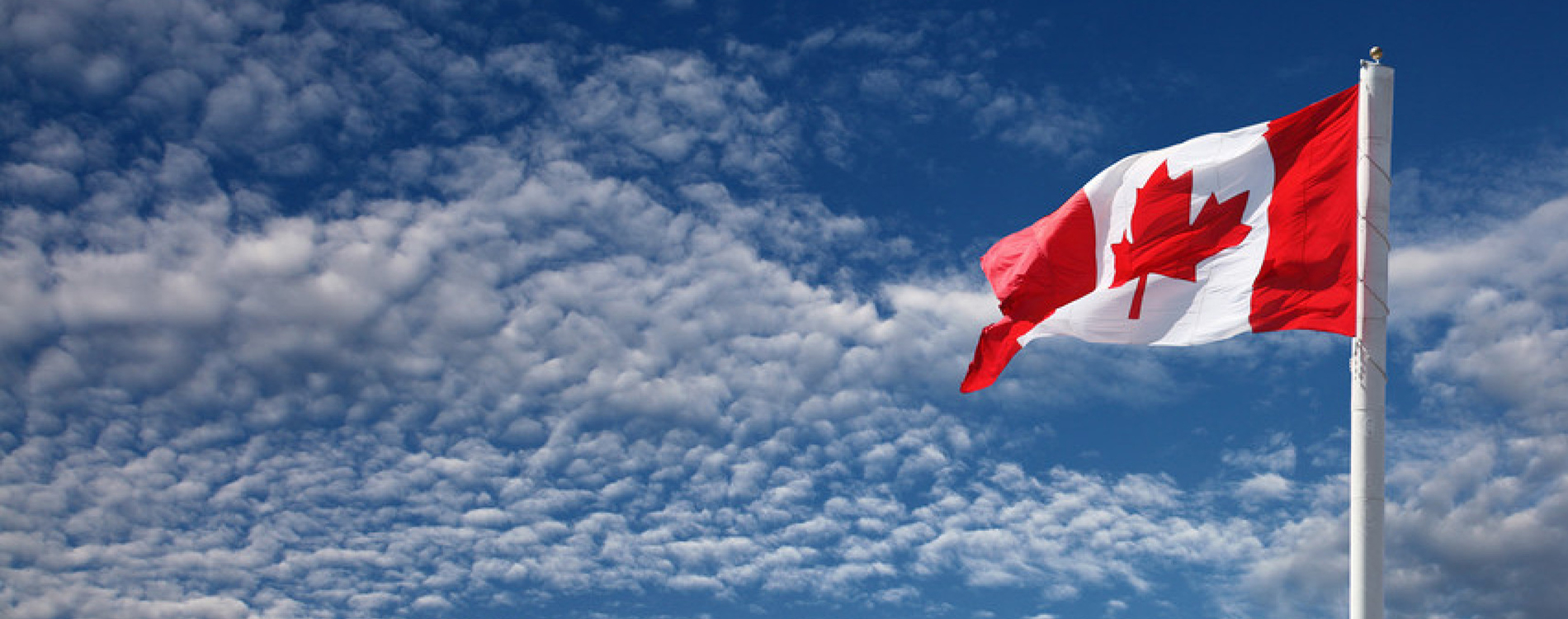 We tutor using the Canadian science curriculum